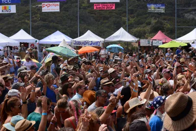 DSC_2085 (Large).JPG